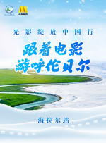 这个软件很奇妙2020